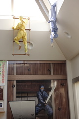 DSC06035.JPG