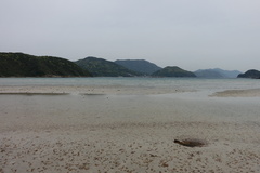 DSC06215.JPG