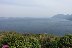 DSC06236.JPG