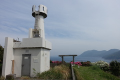 DSC06237.JPG