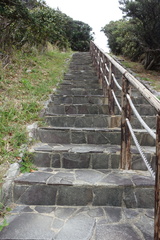 DSC06254.JPG