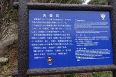 DSC06259.JPG
