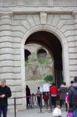 IMGP1437-s.jpg