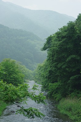 IMGP1901-s.jpg