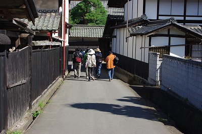 IMGP8579-s.jpg