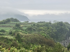 IMG_6982.JPG