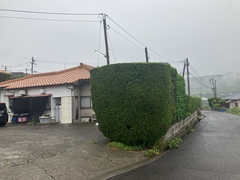 IMG_6984.JPG