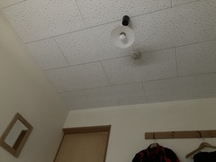 IMG_7032.JPG